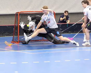 Basportphoto BIS HJ High 63