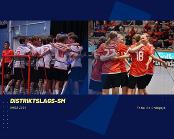 DISTRIKTS (1080 X 1350 Px)