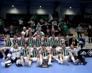Guldhammarbyp16