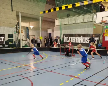 Sammandrag 5