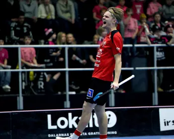 Svenskacupeneriksson