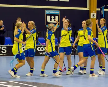 F08 Selstam