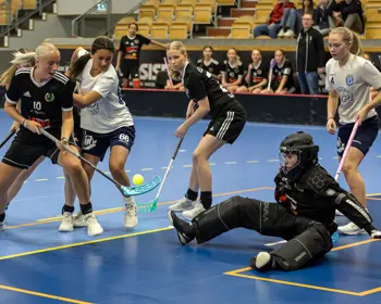 Damjunior Bele Barkarby IF IBF Vs Täby FC 9