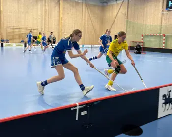 Tjejer Lilla VM