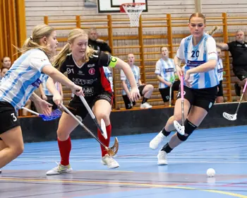 Partille Landvetter November 24