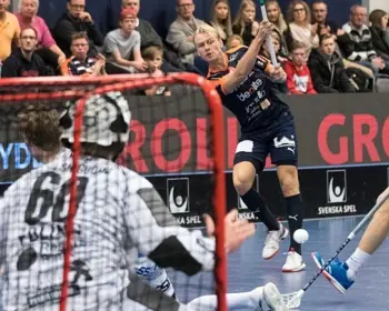 DM-slutspelet inlagt i IBIS