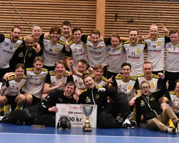 Skärmbild 2024 02 16 113151
