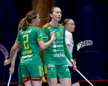 PM Slutspelssldam TG