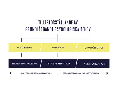 Grundläggande Psykologiska Behov För Vit Bakrund Minska
