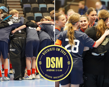 Dsm Bild Hemsida
