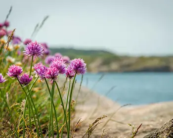 Istockphoto 517654424 612X612