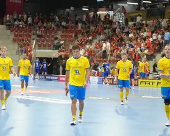 Sverige Periodpaus