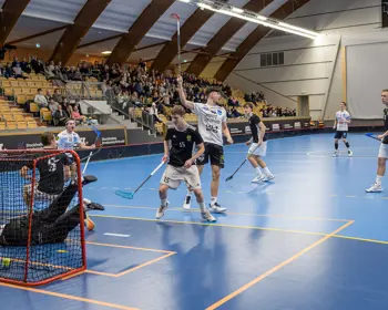 Basportphoto BIS HJ High 44