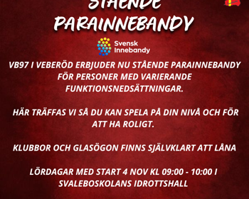 PARA Innebandy (15)