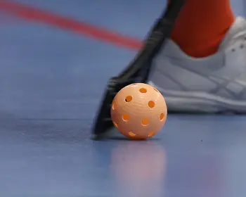 Innebandyboll Svart Blad