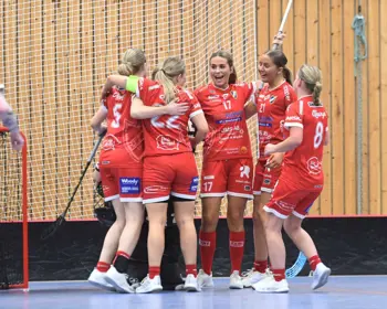 Dottevik