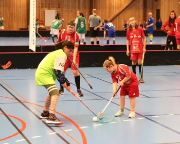 Västcupen Till Hemsidan