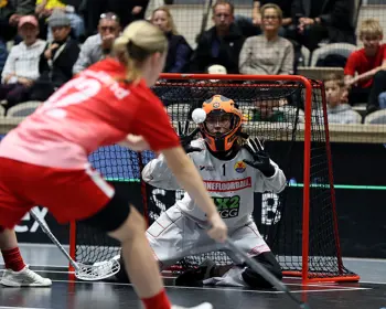 Distrikts SM Final Småland Stockholm