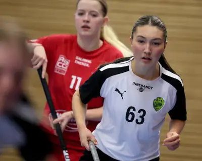 Dubbel Licens Bild IBK Lund