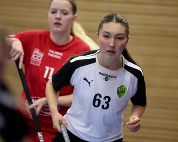 Dubbel Licens Bild IBK Lund