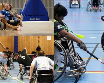 Parainnebandy