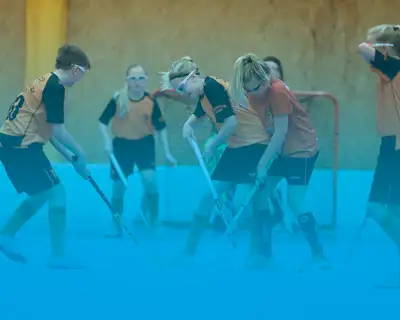 Blå nivå