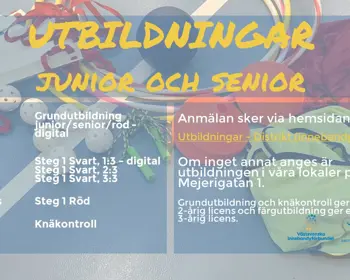 Juniorseniorutbildning