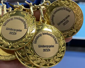 Medaljer GS (1)