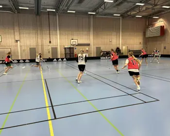 430744788 730892275816289 7463244148943327350 N