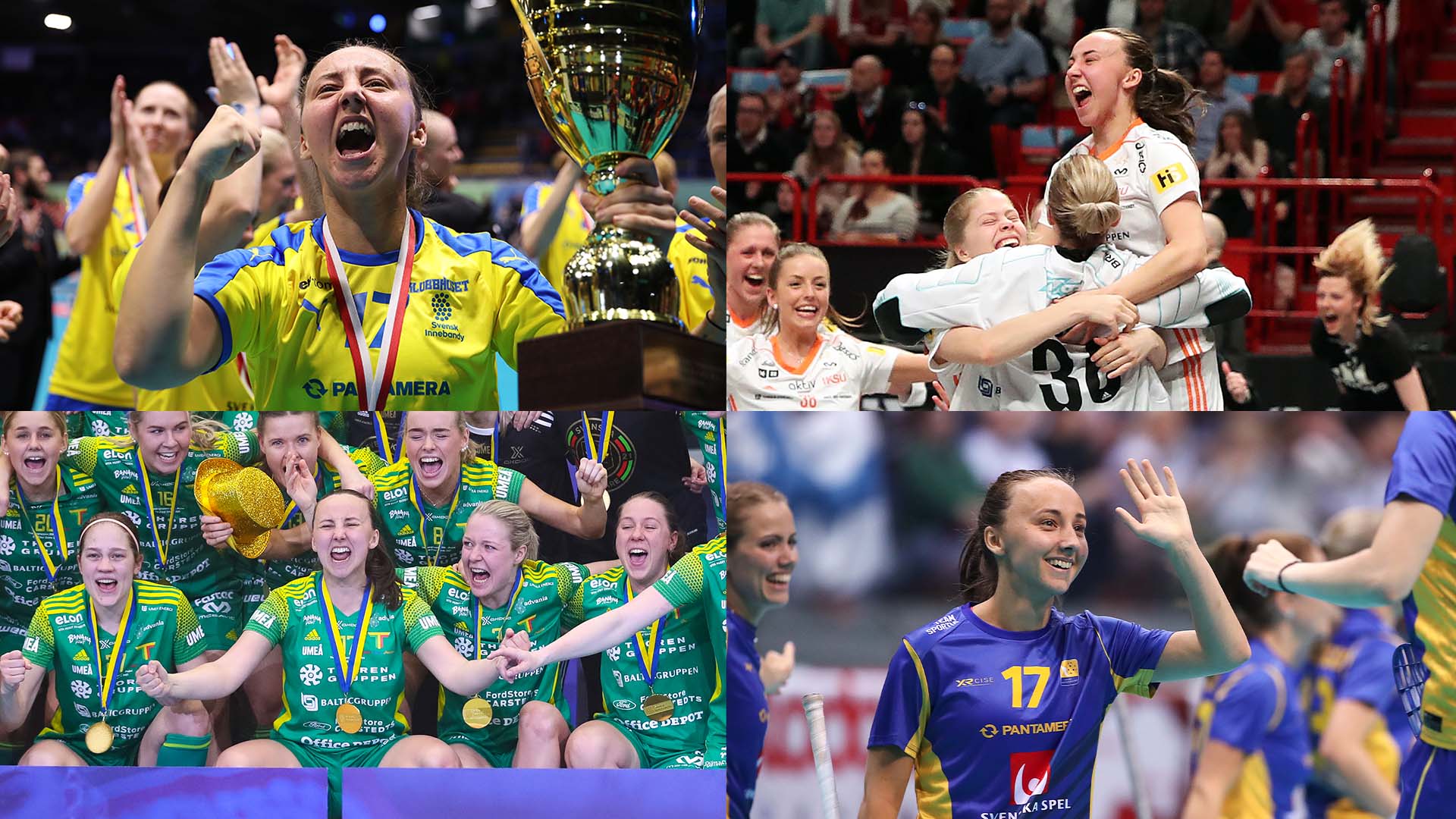 Cornelia HOF Artikel V2