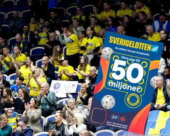 VM Lotten Publikbild