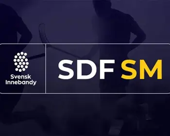 Sdfsm