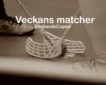 Veckans Matcher Småcup