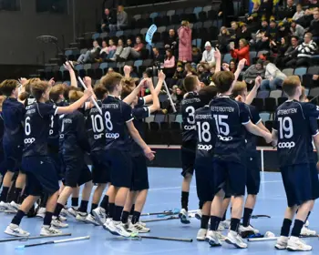 DSM 2025 V Botten Uppland 1