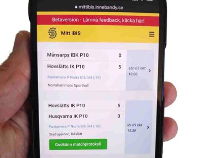 Mittibis Datorbild