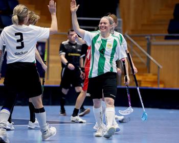 Vsmhammarby