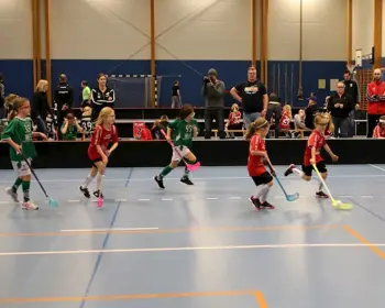 Spelprogram för sammandragen nr 1 22-23/10 är lottat. Uppdaterad 221019