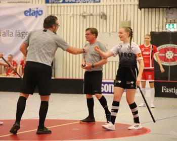 Domare Och Spelare