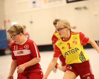 Mixat Lag