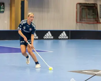 Växjö Vipers Bild
