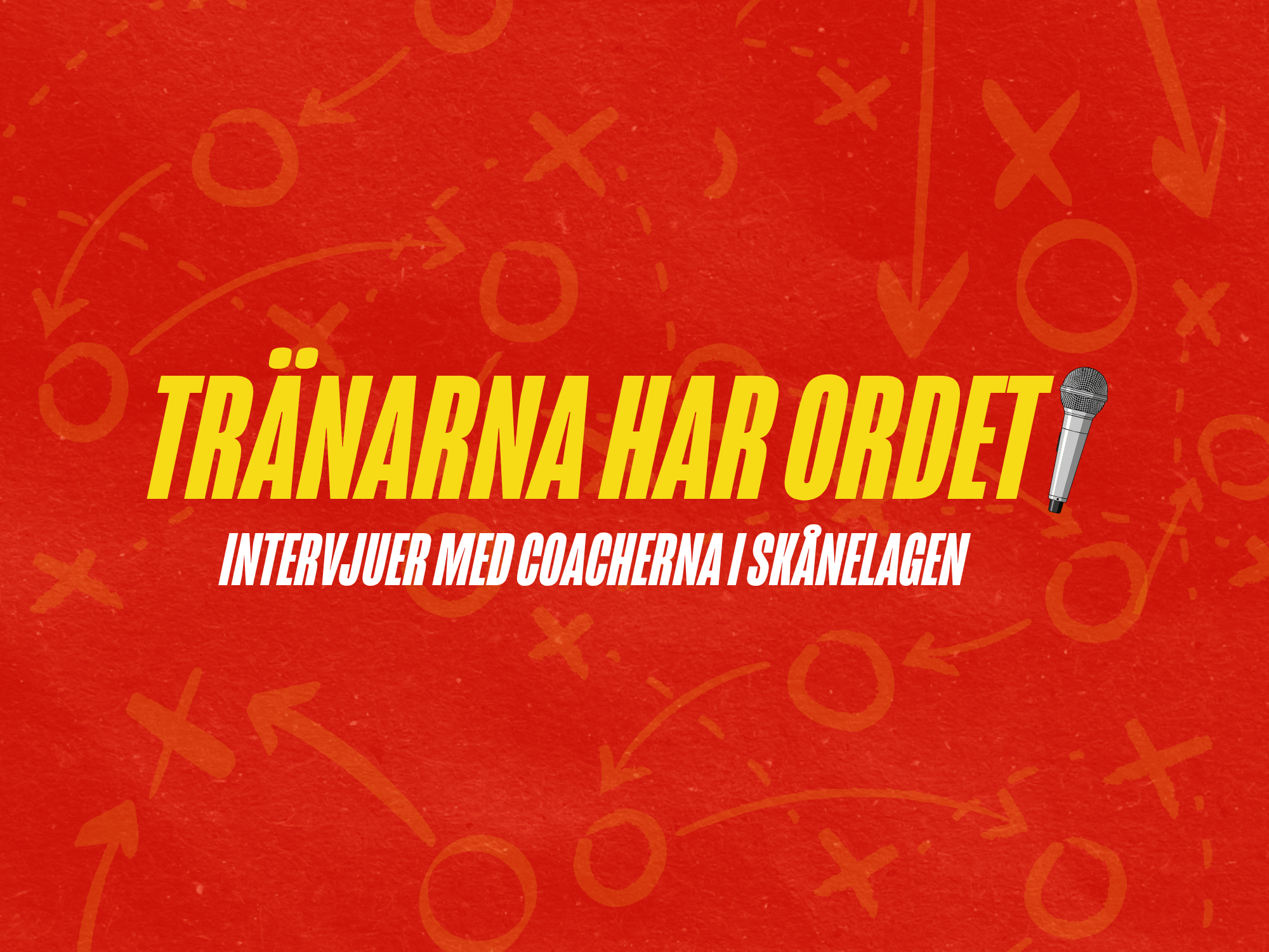 Tränare Skånelaget