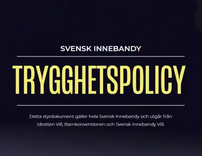 Skärmbild (8)