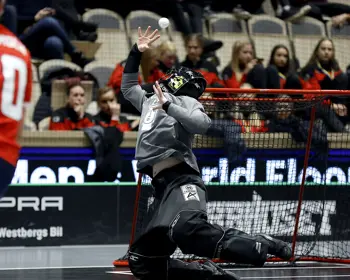 Målvakten Röd 2024