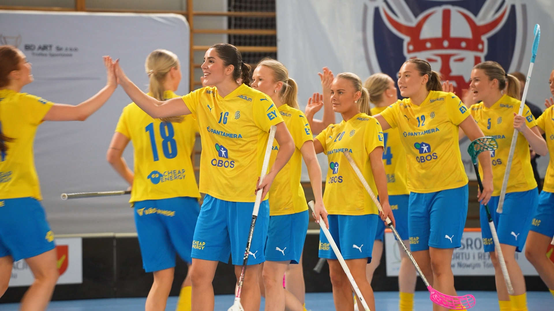 Sverige Schweiz 6Feb 2