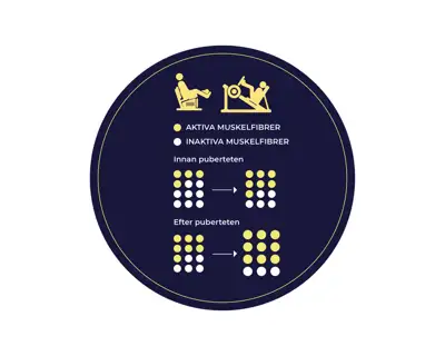 Styrkeutveckling För Vit Bakgrund Minskad