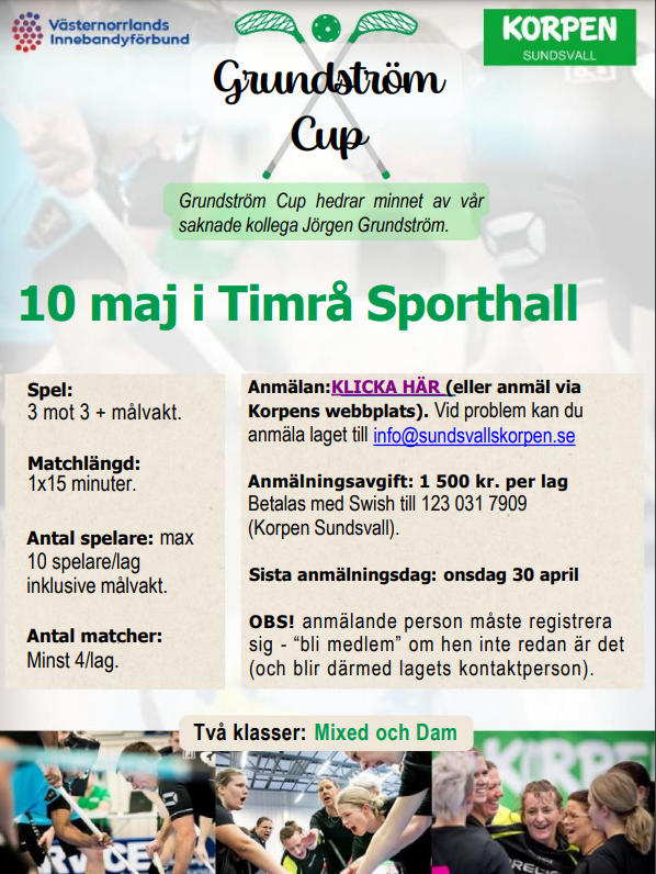 Skärmbild 2025 02 24 152613