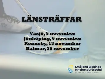 Länsträffar Kopiera