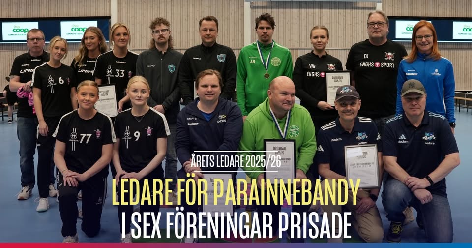 Arets Ledare26 Grupp