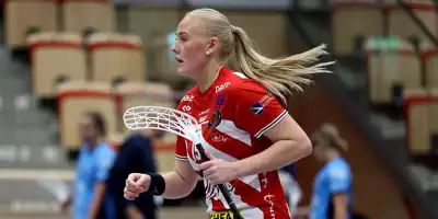 Pixbochampionscup