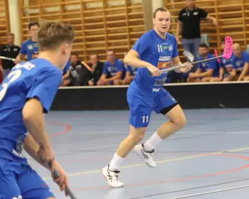 Slätafly